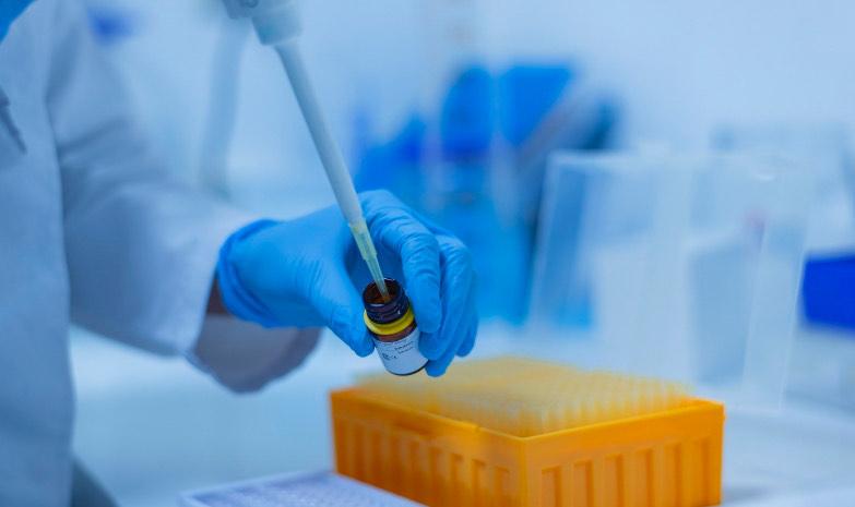 Orthocell Soars 11.6% on Canadian Regulatory Win for Flagship Nerve Repair Device