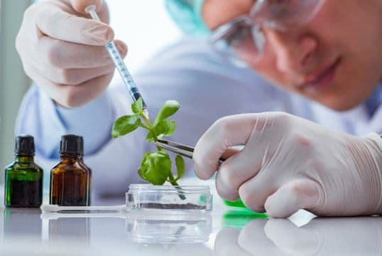 Neuren’s (NEU) DAYBUE Cash Engine Delivers $65M as Biotech Funds Its Own Future Without Raising Capital
