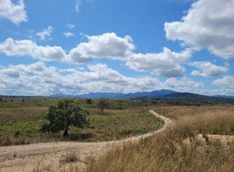 Magnum Mining Advances Rare Earth Leach Testing at Palmares Project in Brazil