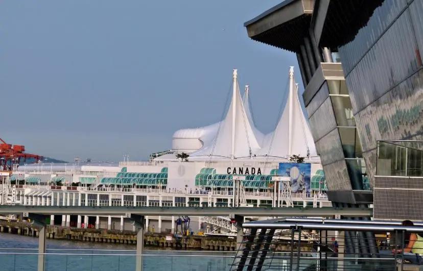 Orthocell appoints first Canadian distributor for Remplir™