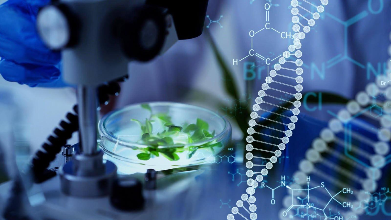 Dimerix (ASX:DXB) Lands $481M Everest Medicines Deal to Advance Kidney Disease Therapy Across Asia