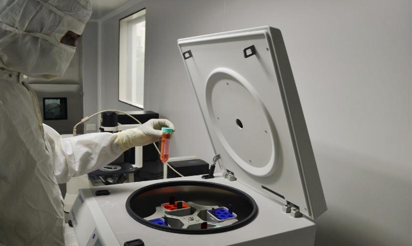 Mesoblast Surges as Ryoncil Sales Jump 60%, Strengthening Balance Sheet and Commercial Momentum