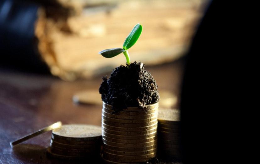 Top 10 Upcoming ASX Dividends Yield Watch and Key Insights